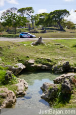 Hayden Paddon
